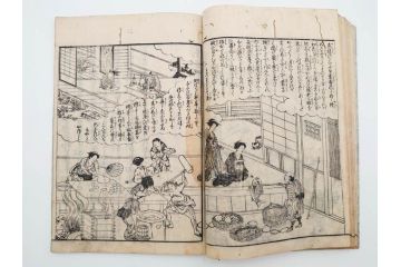 江戸期　享和3年　上垣守国　西村中和・速水春暁斎画　「養蚕秘録」　3冊揃(蚕業、上垣伊兵衛守国、扶桑園第一産、木版画、絵入本、和本、古書)(R-083900)