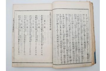 「日蓮大士真実伝」　5冊揃(木版画、絵入本、古書、和本、仏教、日蓮宗)(R-083903)
