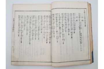 「日蓮大士真実伝」　5冊揃(木版画、絵入本、古書、和本、仏教、日蓮宗)(R-083903)