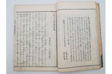 「日蓮大士真実伝」　5冊揃(木版画、絵入本、古書、和本、仏教、日蓮宗)(R-083903)