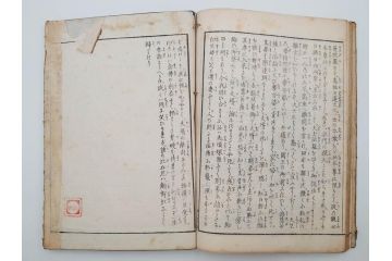 「日蓮大士真実伝」　5冊揃(木版画、絵入本、古書、和本、仏教、日蓮宗)(R-083903)