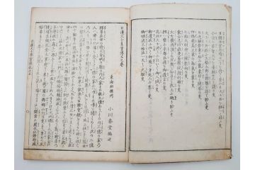 「日蓮大士真実伝」　5冊揃(木版画、絵入本、古書、和本、仏教、日蓮宗)(R-083903)