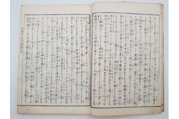 「日蓮大士真実伝」　5冊揃(木版画、絵入本、古書、和本、仏教、日蓮宗)(R-083903)