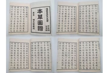 明治36年　「本草図譜」　山草部・芳草部　6冊揃(岩崎灌園、博文館、植物、図鑑、木版画、和本)(R-083904)