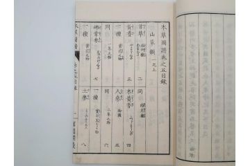 明治36年　「本草図譜」　山草部・芳草部　6冊揃(岩崎灌園、博文館、植物、図鑑、木版画、和本)(R-083904)