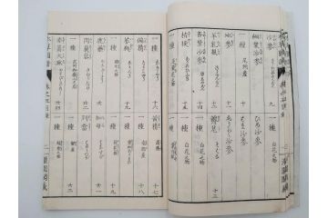明治36年　「本草図譜」　山草部・芳草部　6冊揃(岩崎灌園、博文館、植物、図鑑、木版画、和本)(R-083904)