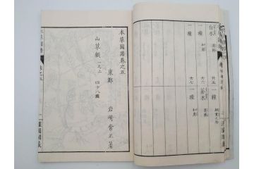 明治36年　「本草図譜」　山草部・芳草部　6冊揃(岩崎灌園、博文館、植物、図鑑、木版画、和本)(R-083904)