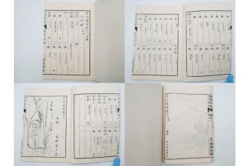 明治36年　「本草図譜」　山草部・芳草部　6冊揃(岩崎灌園、博文館、植物、図鑑、木版画、和本)(R-083904)