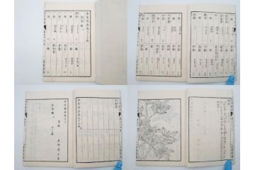 明治36年　「本草図譜」　山草部・芳草部　6冊揃(岩崎灌園、博文館、植物、図鑑、木版画、和本)(R-083904)