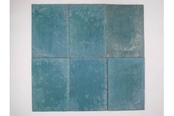 明治36年　「本草図譜」　山草部・芳草部　6冊揃(岩崎灌園、博文館、植物、図鑑、木版画、和本)(R-083904)