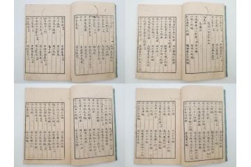 江戸〜明治期　校正古銭鑑大成　金銀図録7冊揃　珍銭奇品図録　西洋銭譜　古銭価格図鑑　新校正孔方図鑑2冊　和漢銭彙　和本14冊セット(木版画、古書)(R-083905)