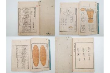 江戸〜明治期　校正古銭鑑大成　金銀図録7冊揃　珍銭奇品図録　西洋銭譜　古銭価格図鑑　新校正孔方図鑑2冊　和漢銭彙　和本14冊セット(木版画、古書)(R-083905)
