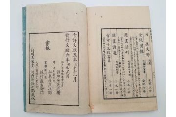 江戸〜明治期　校正古銭鑑大成　金銀図録7冊揃　珍銭奇品図録　西洋銭譜　古銭価格図鑑　新校正孔方図鑑2冊　和漢銭彙　和本14冊セット(木版画、古書)(R-083905)