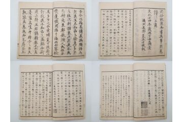 江戸〜明治期　校正古銭鑑大成　金銀図録7冊揃　珍銭奇品図録　西洋銭譜　古銭価格図鑑　新校正孔方図鑑2冊　和漢銭彙　和本14冊セット(木版画、古書)(R-083905)