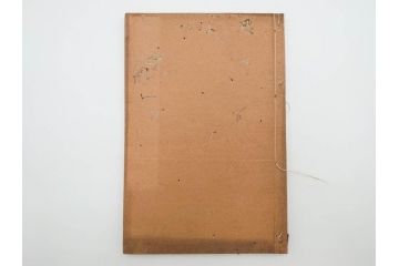 江戸〜明治期　校正古銭鑑大成　金銀図録7冊揃　珍銭奇品図録　西洋銭譜　古銭価格図鑑　新校正孔方図鑑2冊　和漢銭彙　和本14冊セット(木版画、古書)(R-083905)