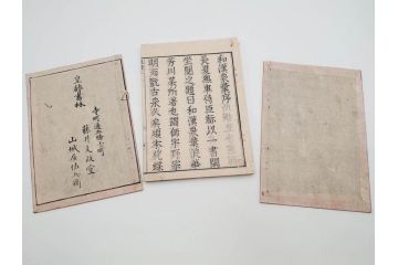 江戸〜明治期　校正古銭鑑大成　金銀図録7冊揃　珍銭奇品図録　西洋銭譜　古銭価格図鑑　新校正孔方図鑑2冊　和漢銭彙　和本14冊セット(木版画、古書)(R-083905)