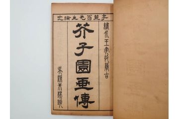 中国　上海天宝書局　「芥子園画伝」　唐本　4帙　16冊セット(木版画、古書、和本)(R-083906)