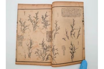 中国　上海天宝書局　「芥子園画伝」　唐本　4帙　16冊セット(木版画、古書、和本)(R-083906)