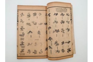 中国　上海天宝書局　「芥子園画伝」　唐本　4帙　16冊セット(木版画、古書、和本)(R-083906)
