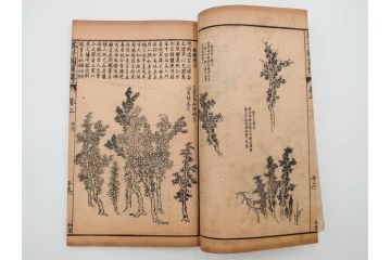 中国　上海天宝書局　「芥子園画伝」　唐本　4帙　16冊セット(木版画、古書、和本)(R-083906)