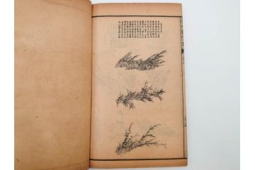 中国　上海天宝書局　「芥子園画伝」　唐本　4帙　16冊セット(木版画、古書、和本)(R-083906)