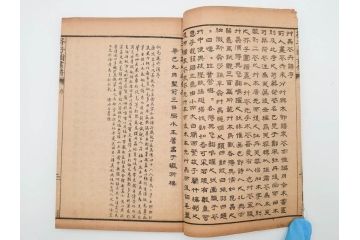中国　上海天宝書局　「芥子園画伝」　唐本　4帙　16冊セット(木版画、古書、和本)(R-083906)