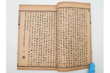 中国　上海天宝書局　「芥子園画伝」　唐本　4帙　16冊セット(木版画、古書、和本)(R-083906)