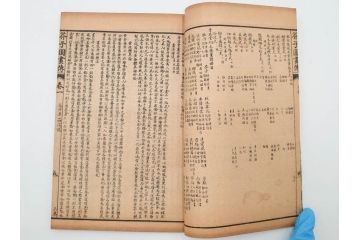 中国　上海天宝書局　「芥子園画伝」　唐本　4帙　16冊セット(木版画、古書、和本)(R-083906)