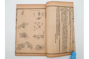 中国　上海天宝書局　「芥子園画伝」　唐本　4帙　16冊セット(木版画、古書、和本)(R-083906)