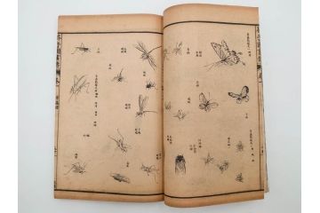 中国　上海天宝書局　「芥子園画伝」　唐本　4帙　16冊セット(木版画、古書、和本)(R-083906)