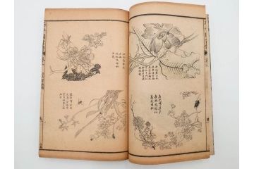中国　上海天宝書局　「芥子園画伝」　唐本　4帙　16冊セット(木版画、古書、和本)(R-083906)