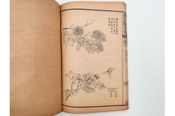 中国　上海天宝書局　「芥子園画伝」　唐本　4帙　16冊セット(木版画、古書、和本)(R-083906)