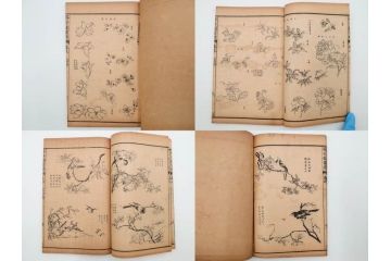 中国　上海天宝書局　「芥子園画伝」　唐本　4帙　16冊セット(木版画、古書、和本)(R-083906)