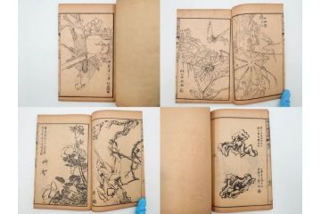 中国　上海天宝書局　「芥子園画伝」　唐本　4帙　16冊セット(木版画、古書、和本)(R-083906)