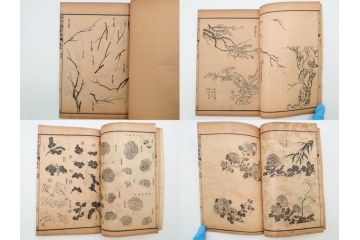 中国　上海天宝書局　「芥子園画伝」　唐本　4帙　16冊セット(木版画、古書、和本)(R-083906)