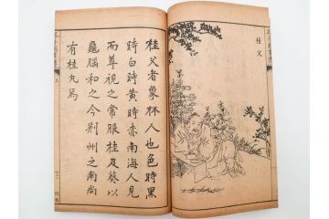 中国　上海天宝書局　「芥子園画伝」　唐本　4帙　16冊セット(木版画、古書、和本)(R-083906)
