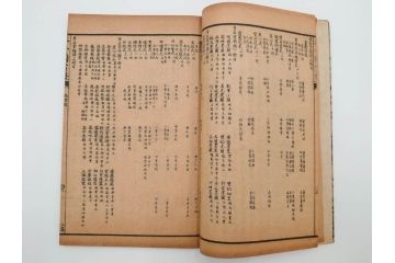 中国　上海天宝書局　「芥子園画伝」　唐本　4帙　16冊セット(木版画、古書、和本)(R-083906)