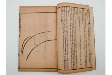 中国　上海天宝書局　「芥子園画伝」　唐本　4帙　16冊セット(木版画、古書、和本)(R-083906)