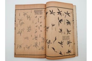 中国　上海天宝書局　「芥子園画伝」　唐本　4帙　16冊セット(木版画、古書、和本)(R-083906)
