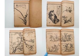 中国　上海天宝書局　「芥子園画伝」　唐本　4帙　16冊セット(木版画、古書、和本)(R-083906)