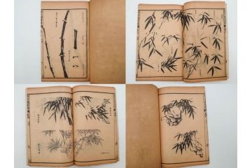 中国　上海天宝書局　「芥子園画伝」　唐本　4帙　16冊セット(木版画、古書、和本)(R-083906)