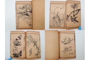 中国　上海天宝書局　「芥子園画伝」　唐本　4帙　16冊セット(木版画、古書、和本)(R-083906)