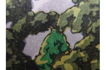 真作　後摺り木版画　わたなべ印　昭和5年川瀬巴水作　「日光街道」　(R-083913)