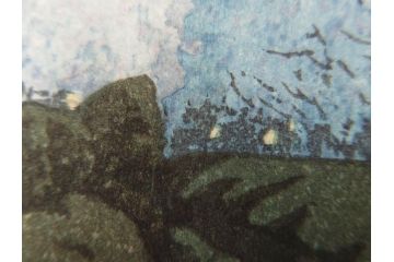 真作　後摺り木版画　わたなべ印　昭和10年川瀬巴水作　「小金井の夜桜」　(R-083916)