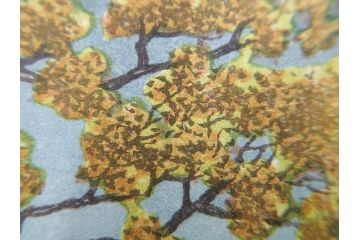 真作　後摺り　わたなべ印　昭和7年川瀬巴水作　「湖畔の雨(松江)」　静かな情景を描いた木版画　(R-083917)