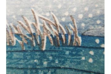 真作　後摺り　わたなべ印　昭和22年川瀬巴水作　「水戸 涸沼の雪」　静かな雪景を描いた木版画　(R-083918)