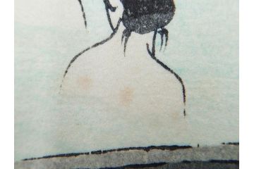 真作　堀川昭三郎摺・後摺り　わたなべ印　昭和10年笠松紫浪作　「信州白骨温泉」　情景美を描いた木版画　(R-083919)