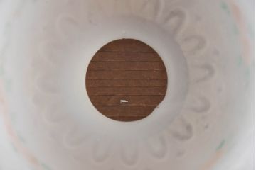 フランスアンティーク　柔らかな光に浮かぶ薔薇が優雅な時間を彩るペンダントライト(天井照明、吊り下げ照明、シェード、電笠)(R-083938)