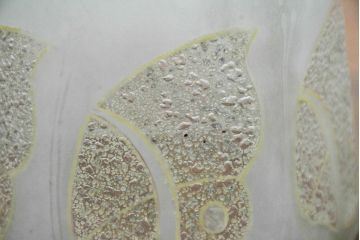 《引っ掛けシーリング式ペンダントライト加工費込み》アンティーク照明　希少!!　乳白ガラスに蝶文様が浮かぶ照明用ガラスシェード　(R-084190)