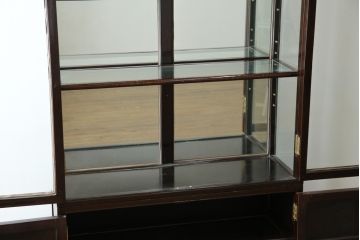 アジアンビンテージ　唐木材　中国クラシックデザインが目を引く照明付き薄型ミラーバックキャビネット(飾り棚、陳列棚、収納棚、戸棚、ガラスケース、ショーケース、コレクションケース、ディスプレイケース、ヴィンテージ、店舗什器)(R-084240)